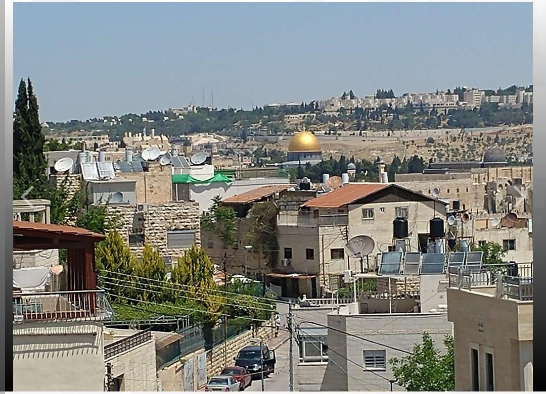 תמונה של WhatsApp‏ 2023-05-21 בשעה 19.39.52